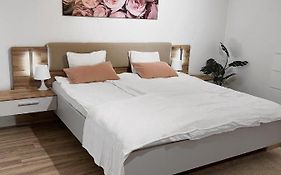 Eine Schoene Wohnung Im Herzen Von Basel.